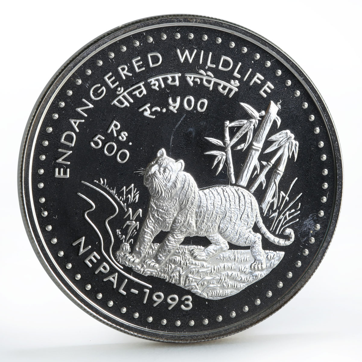 Nepal 500 rupees Endangered Wildlife Asian Tiger silver coin 1993