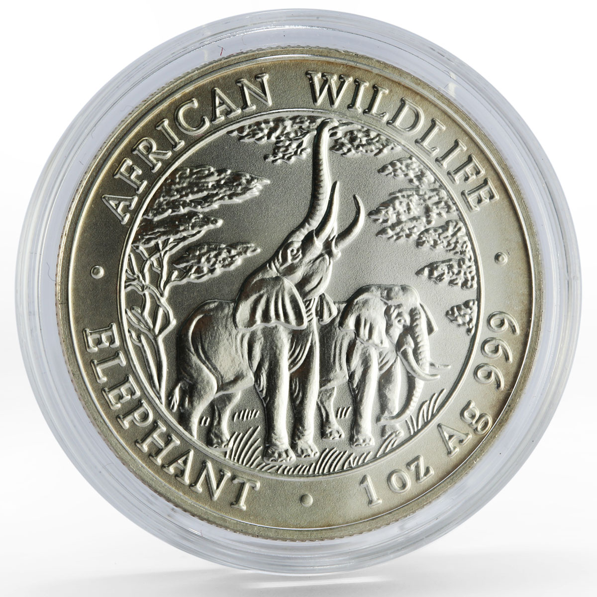 Zambia 5000 kwacha African Wildlife series Elephant silver coin 2003