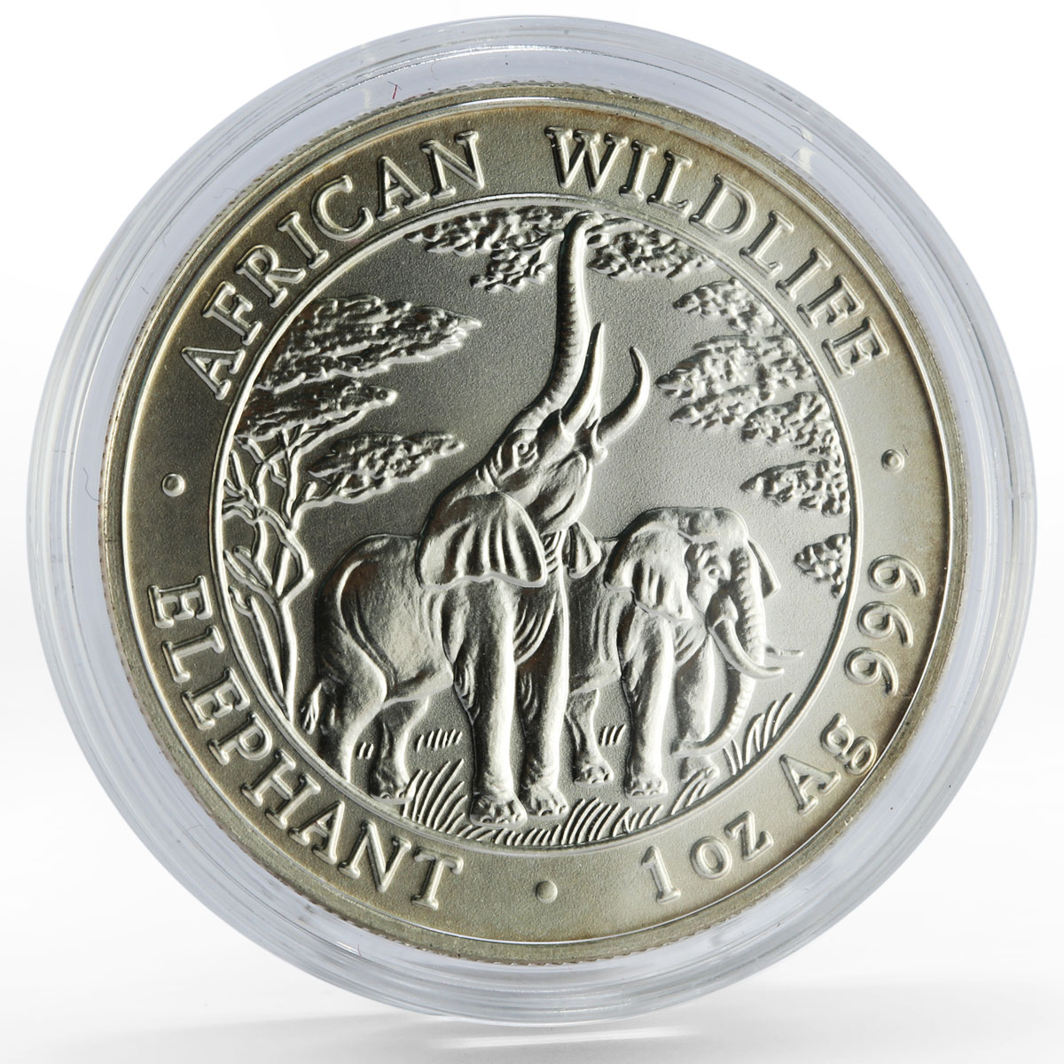 Zambia 5000 kwacha African Wildlife series Elephant silver coin 2003