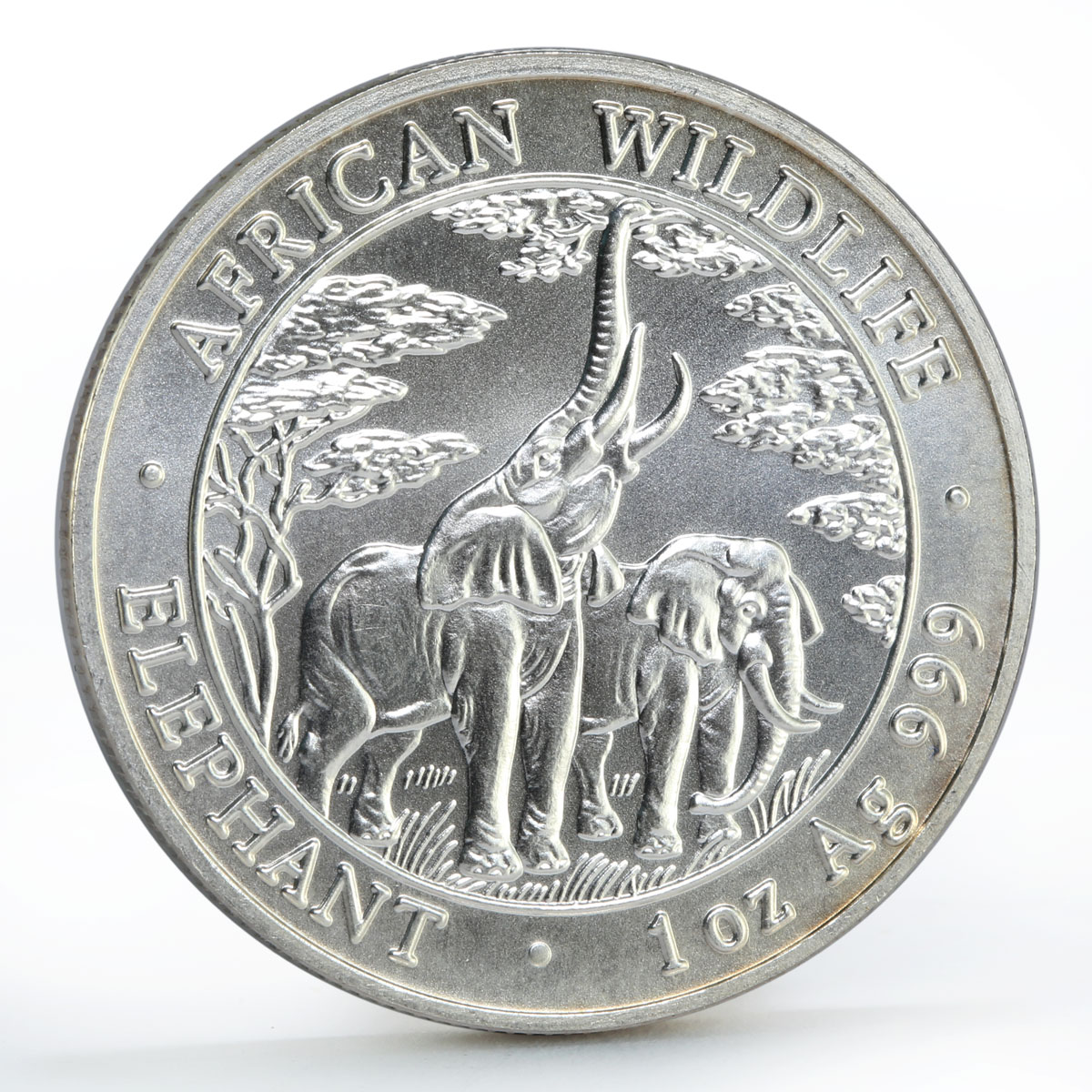 Zambia 5000 kwacha African Wildlife series Elephant silver coin 2003