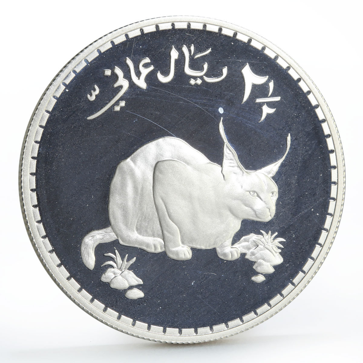 Oman 2 1/2 rials Endangered Wildlife Caracal Cat proof silver coin 1977