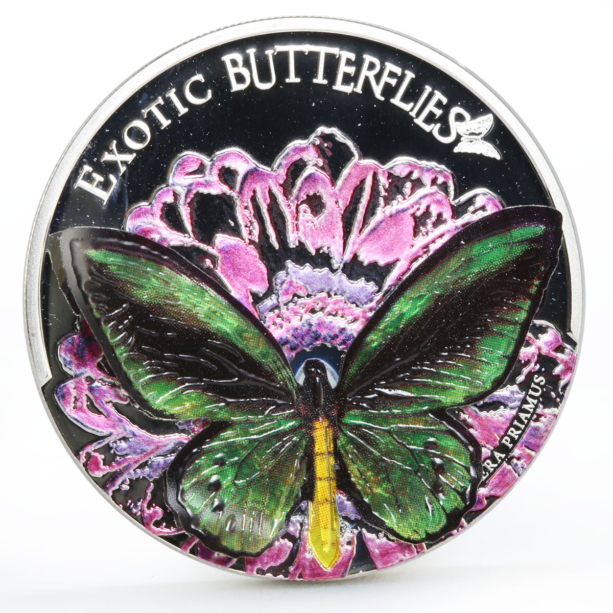 Tokelau 5 dollars Ornithoptera Priamus Butterfly colored proof silver coin 2012