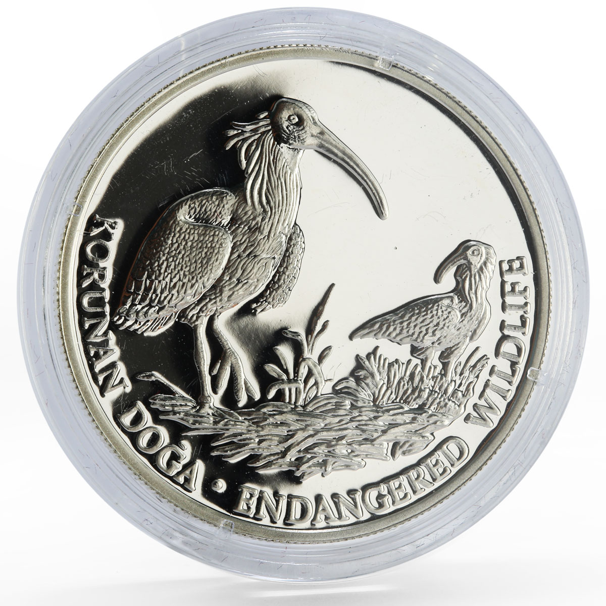 Turkey 50000 lira Endangered Widlife Fauna Bald Ibis Bird silver coin 1995