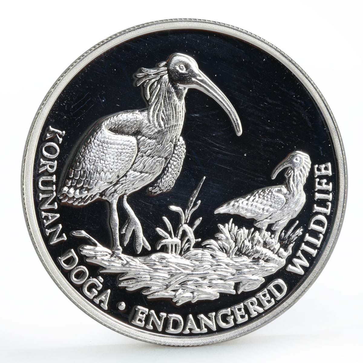 Turkey 50000 lira Endangered Widlife Fauna Bald Ibis Bird silver coin 1995