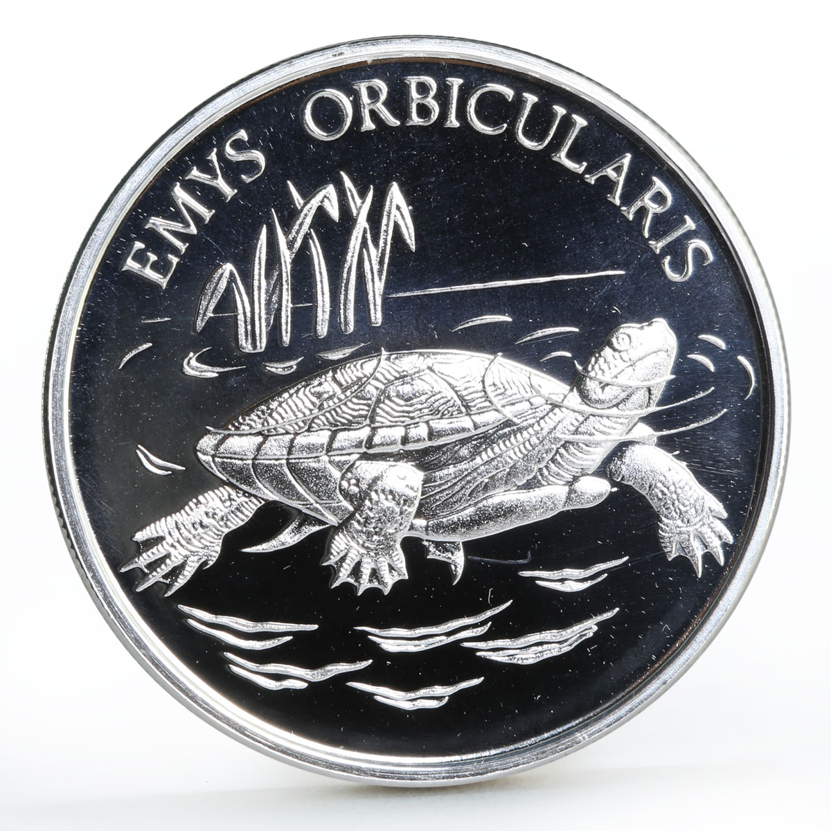 Turkey 10000000 lira Endangered Wildlife European Pond Turtle silver coin 2001