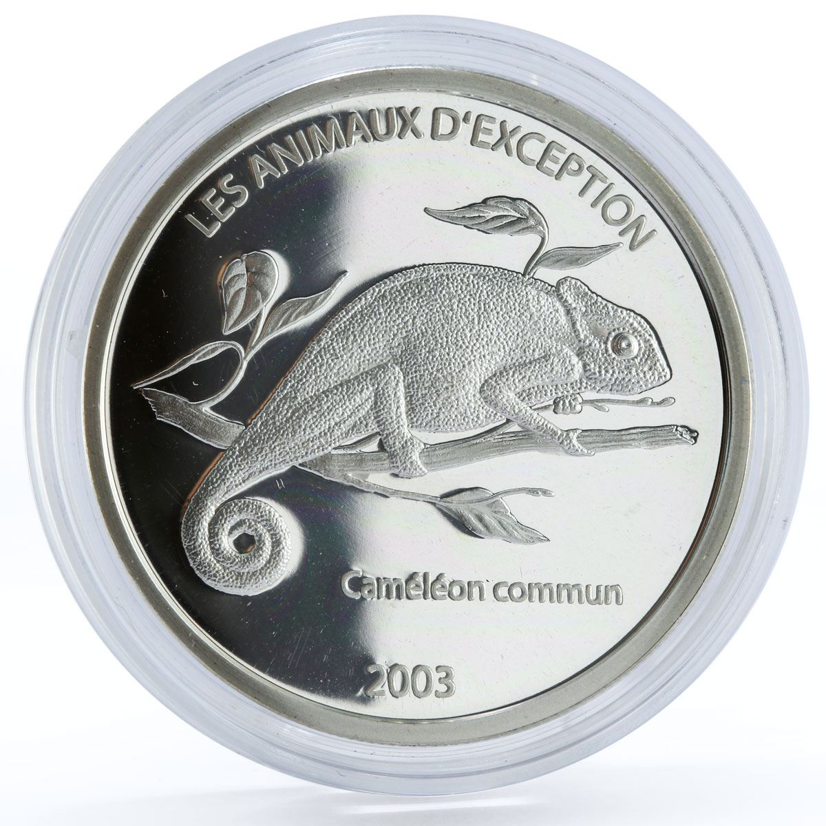 Congo 10 francs Endangered Wildlife Fauna Chameleon Lizard silver coin 2003