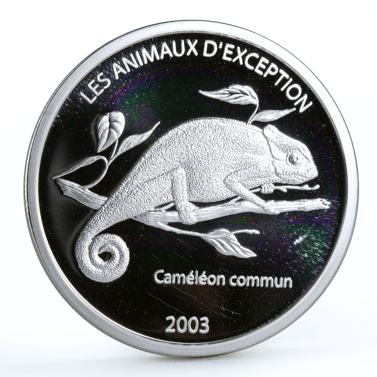 Congo 10 francs Endangered Wildlife Fauna Chameleon Lizard silver coin 2003