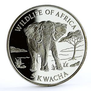 Malawi 5 kwacha African Wildlife Fauna Elephant proof silver coin 1997