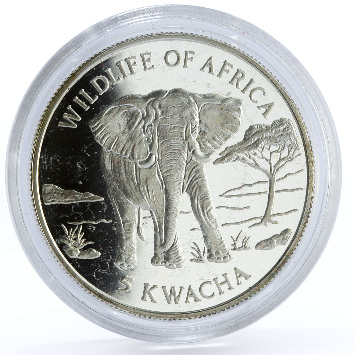 Malawi 5 kwacha African Wildlife Fauna Elephant proof silver coin 1997