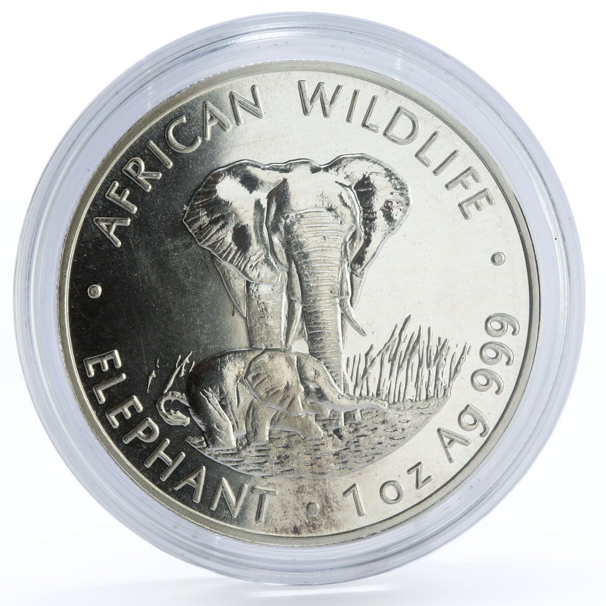 Zambia 5000 kwacha African Wildlife series Elephant silver coin 1999