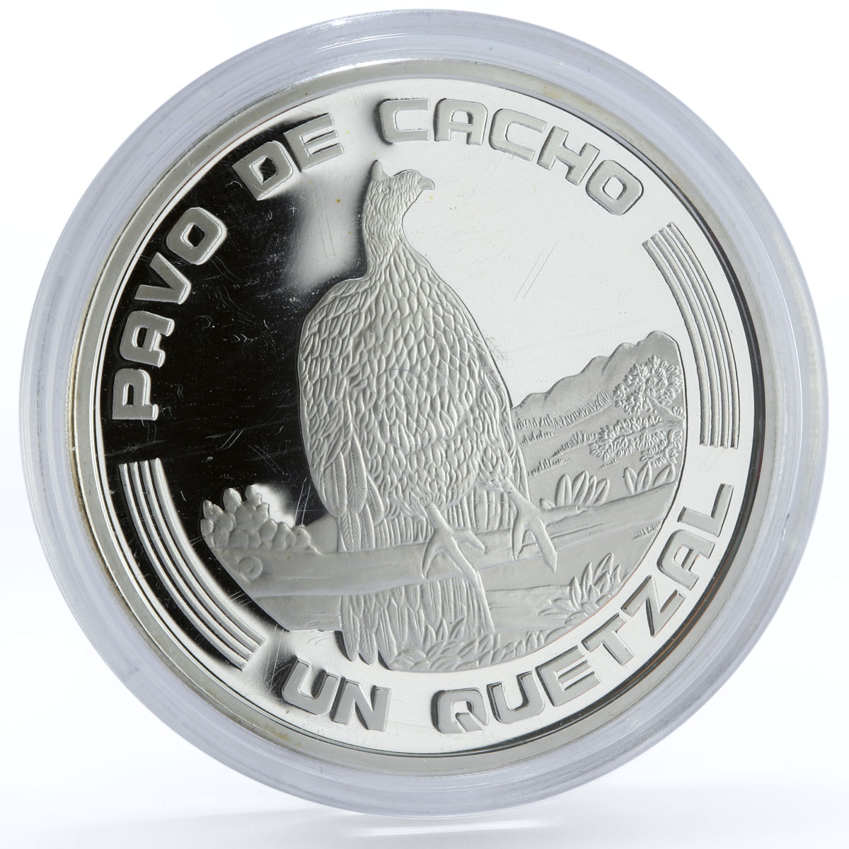 Guatemala 1 quetzal Ibero American series II Horned Guan proof silver coin 1994