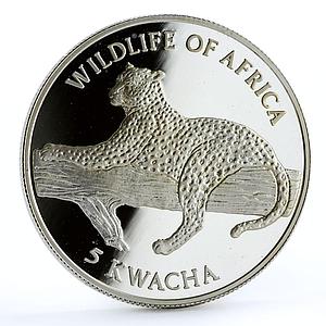 Malawi 5 kwacha African Wildlife Fauna Leopard Cat proof silver coin 1997