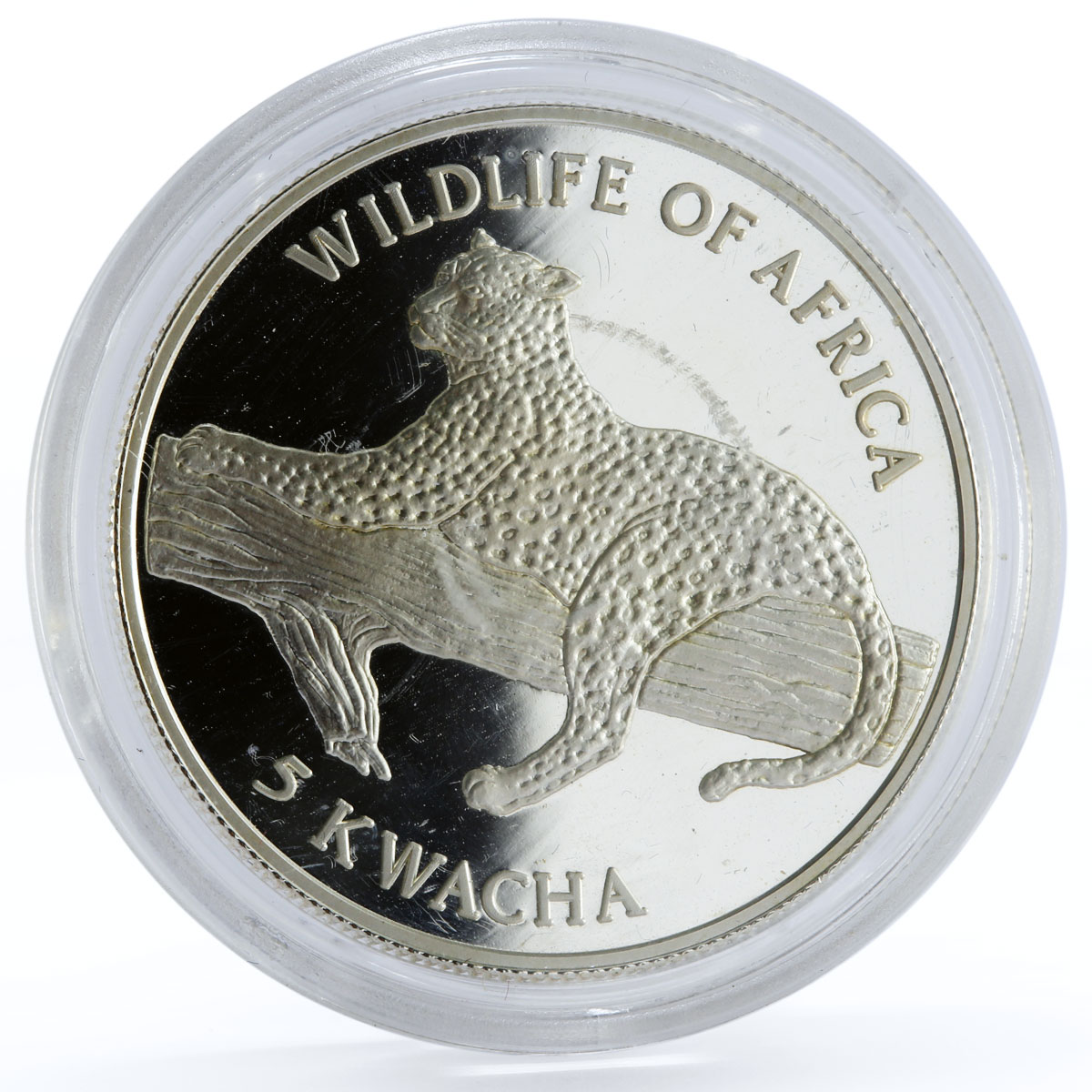Malawi 5 kwacha African Wildlife Fauna Leopard Cat proof silver coin 1997