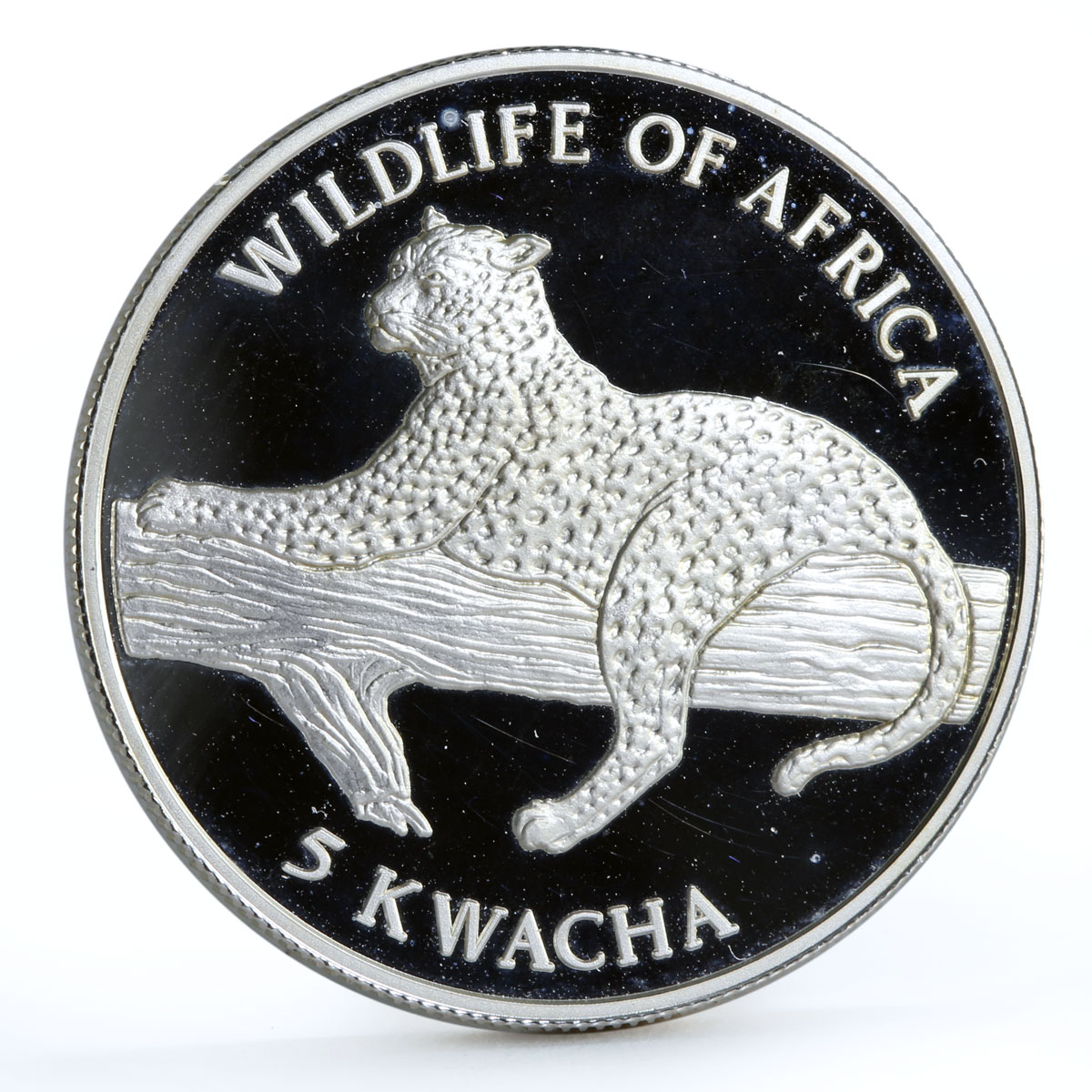 Malawi 5 kwacha African Wildlife Fauna Leopard Cat proof silver coin 1997