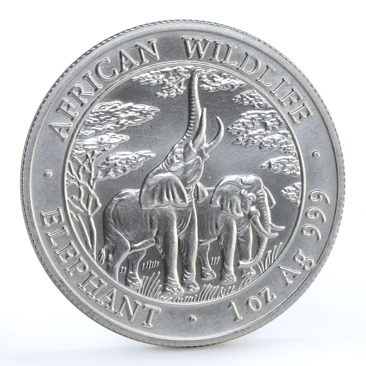 Zambia 5000 kwacha African Wildlife series Elephant silver coin 2003