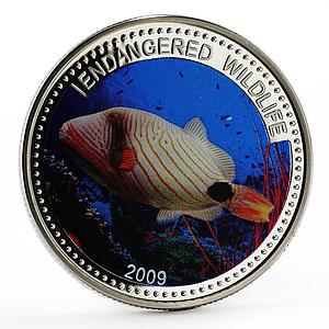 Palau 1 dollar Marine Life Protection Orange Triggerfish colored CuNi coin 2009