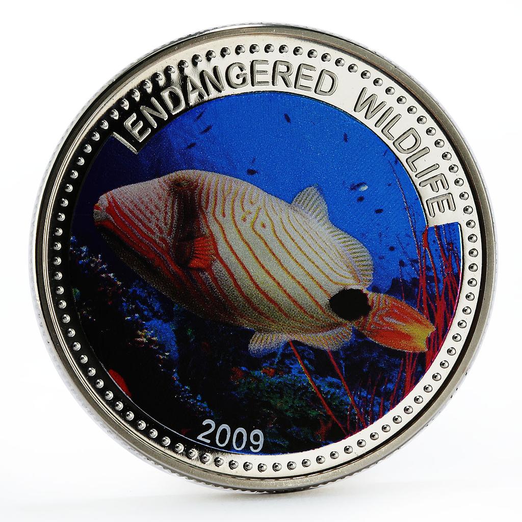 Palau 1 dollar Marine Life Protection Orange Triggerfish colored CuNi coin 2009