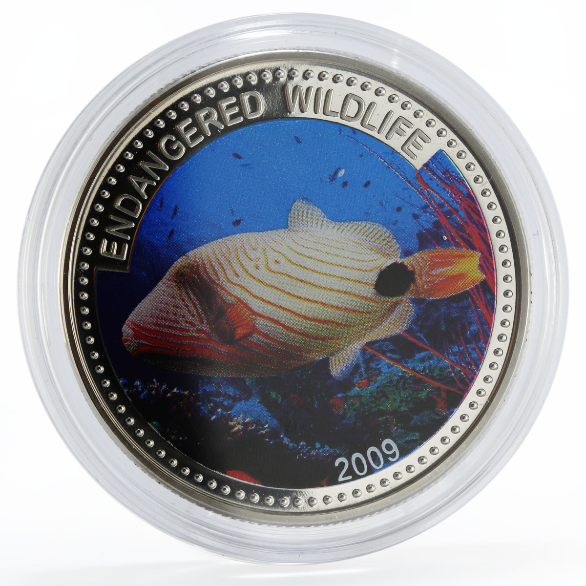 Palau 1 dollar Marine Life Protection Orange Triggerfish colored CuNi coin 2009