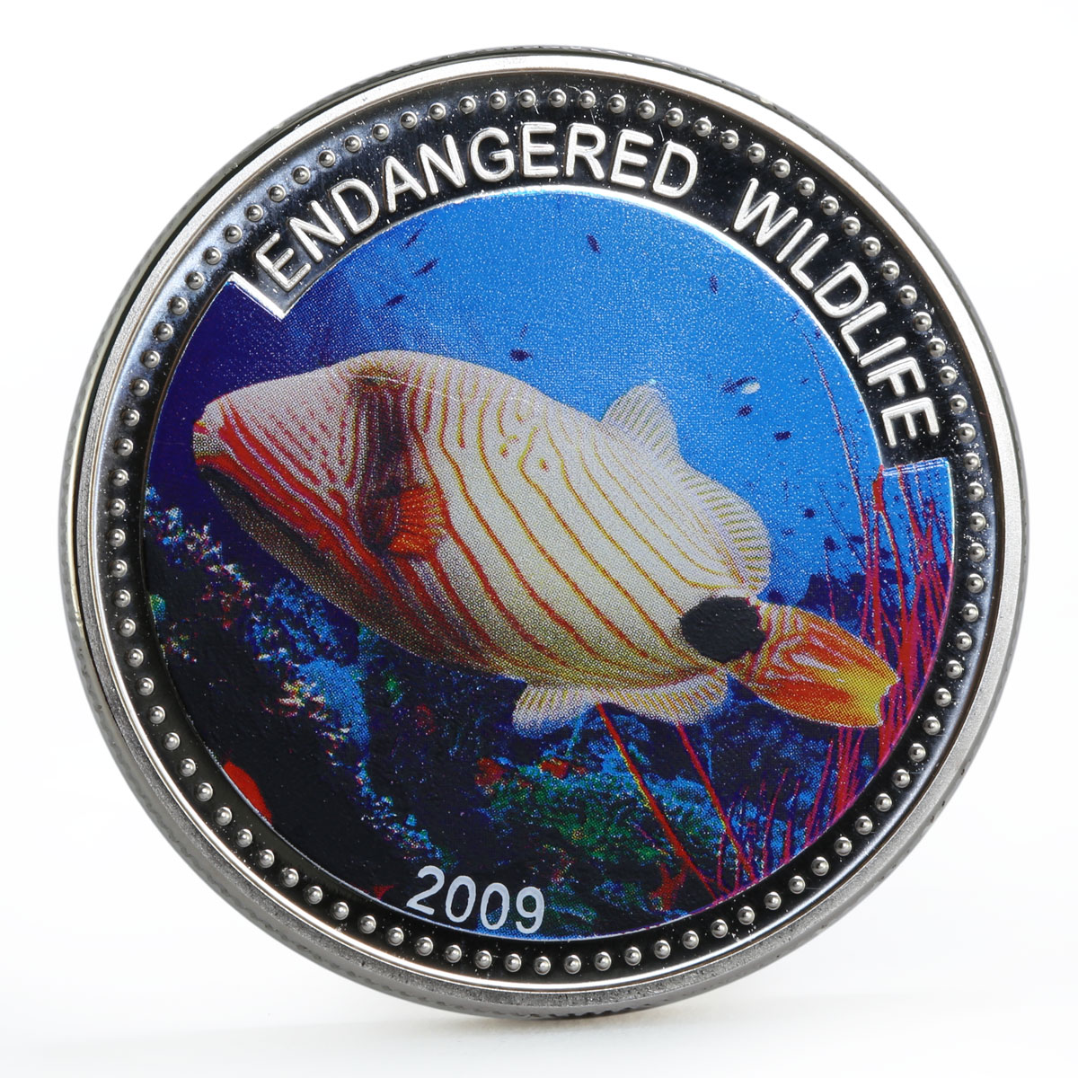 Palau 1 dollar Marine Life Protection Orange Triggerfish colored CuNi coin 2009