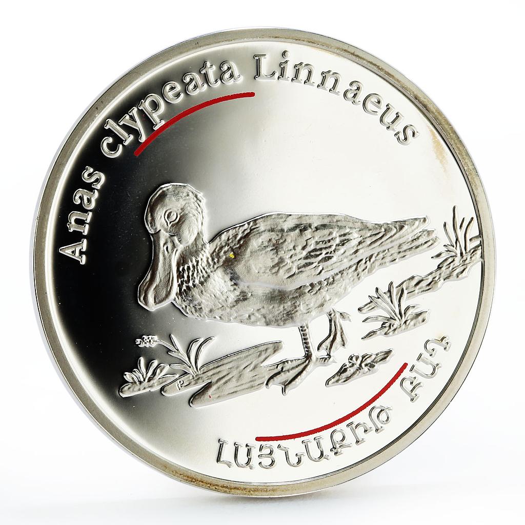 Armenia 100 dram Red Book of Armenia Fauna Northern Duck silver coin 2007