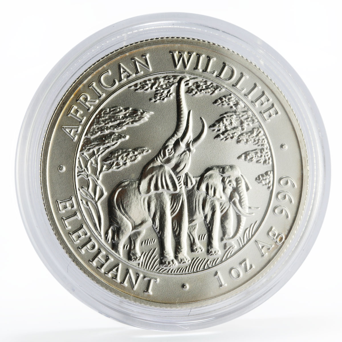 Zambia 5000 kwacha African Wildlife series Elephant silver coin 2003