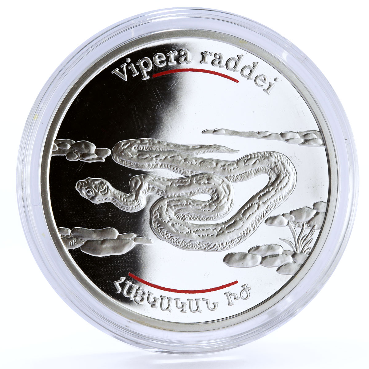 Armenia 100 dram Red Book of Armenia Fauna Viper Snake proof silver coin 2007