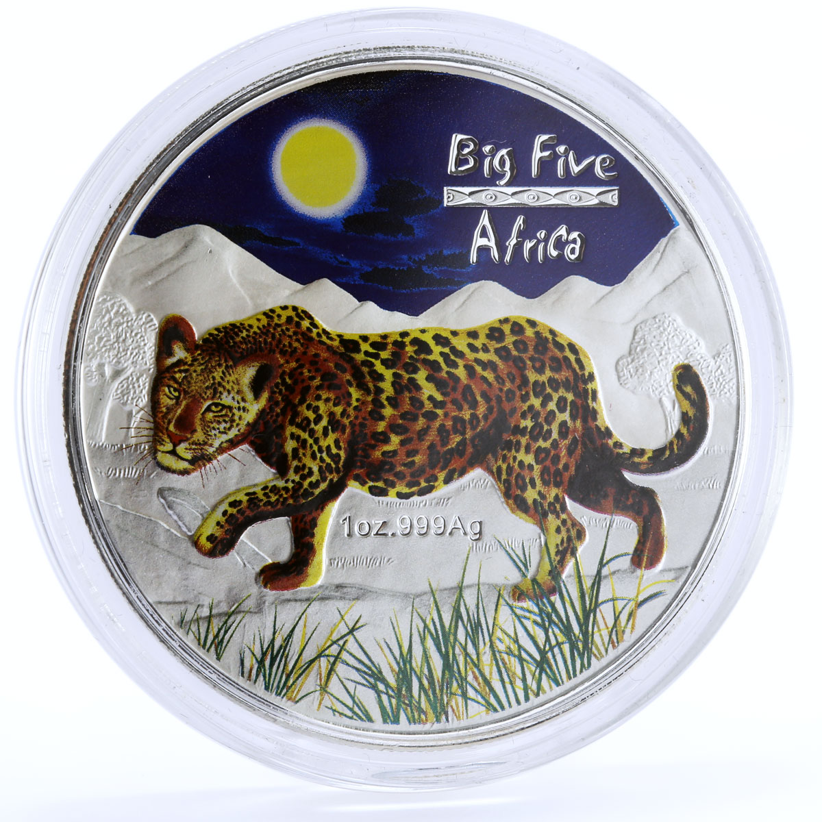 Congo 240 francs Wildlife Big African Five Leopard colored silver coin 2008