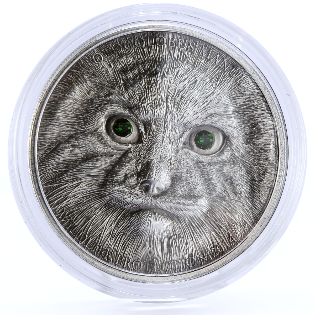 Mongolia 500 togrog Endangered Wildlife Steppe Manul Cat Fauna silver coin 2014