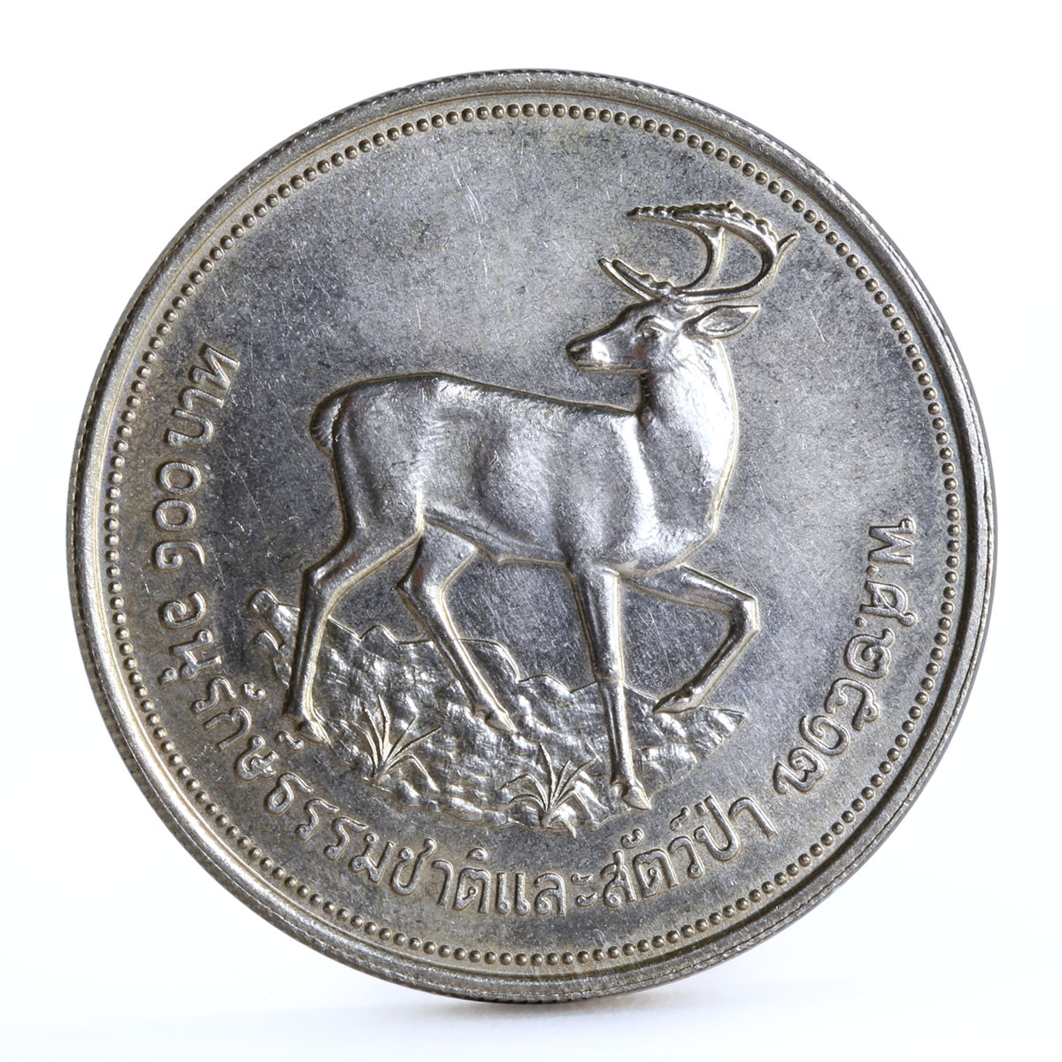 Thailand 100 baht World Wildlife Fund series Deer silver coin 1974