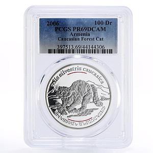 Armenia 100 dram Red Book Caucasian Forest Cat PR69 PCGS silver coin 2006