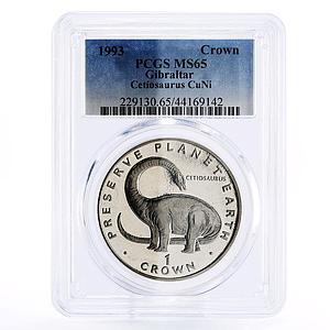 Gibraltar 1 crown Prehistoric Animals Cetiosaurus MS65 PCGS CuNi coin 1993