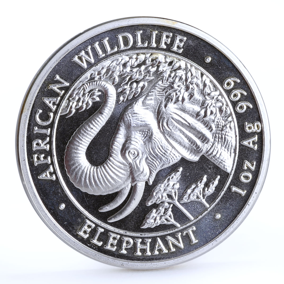 Somali 1000 shillings African Wildlife Elephant Fauna silver coin 2005