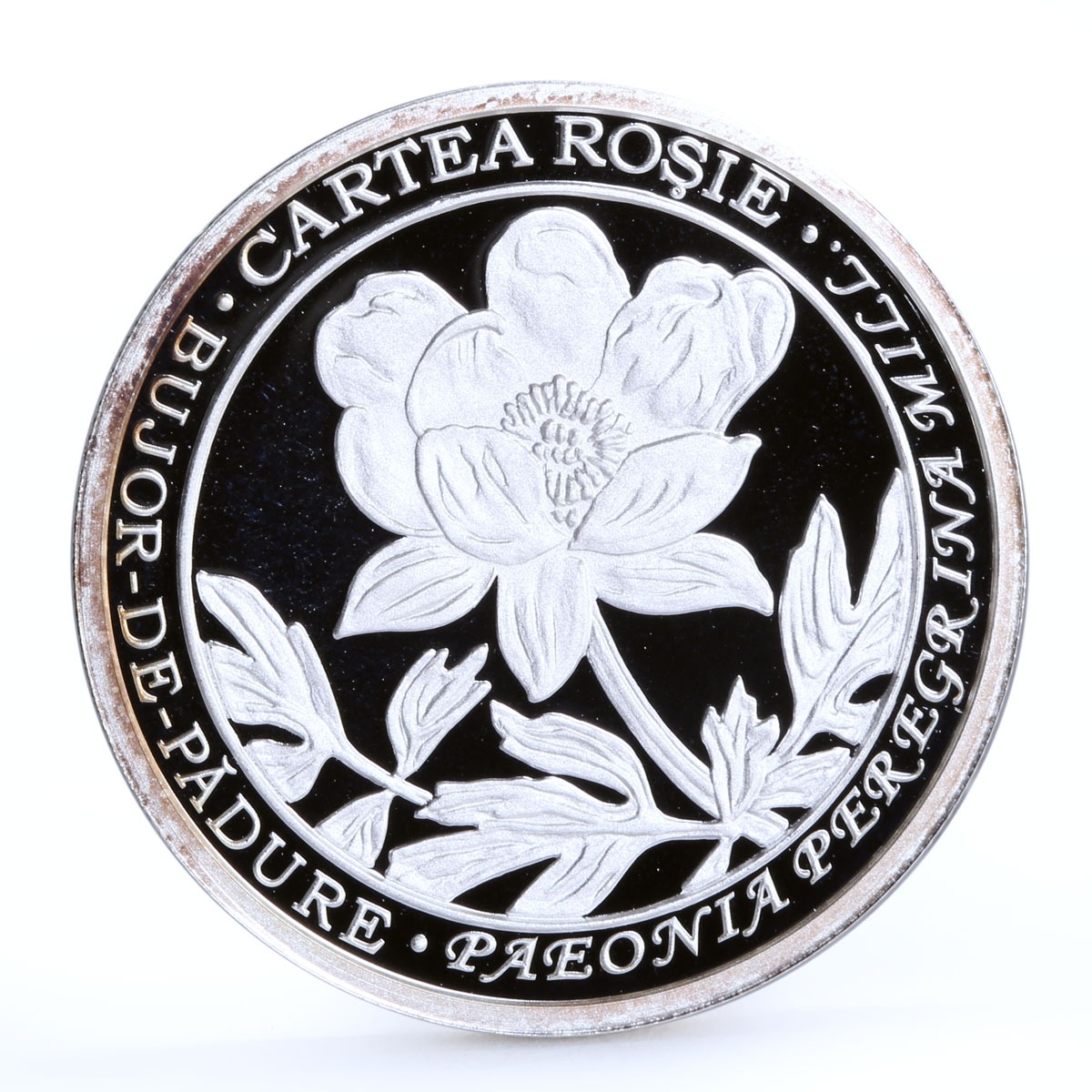 Moldova 50 lei Paeonia Peregrina Flower Flora proof silver coin 2014