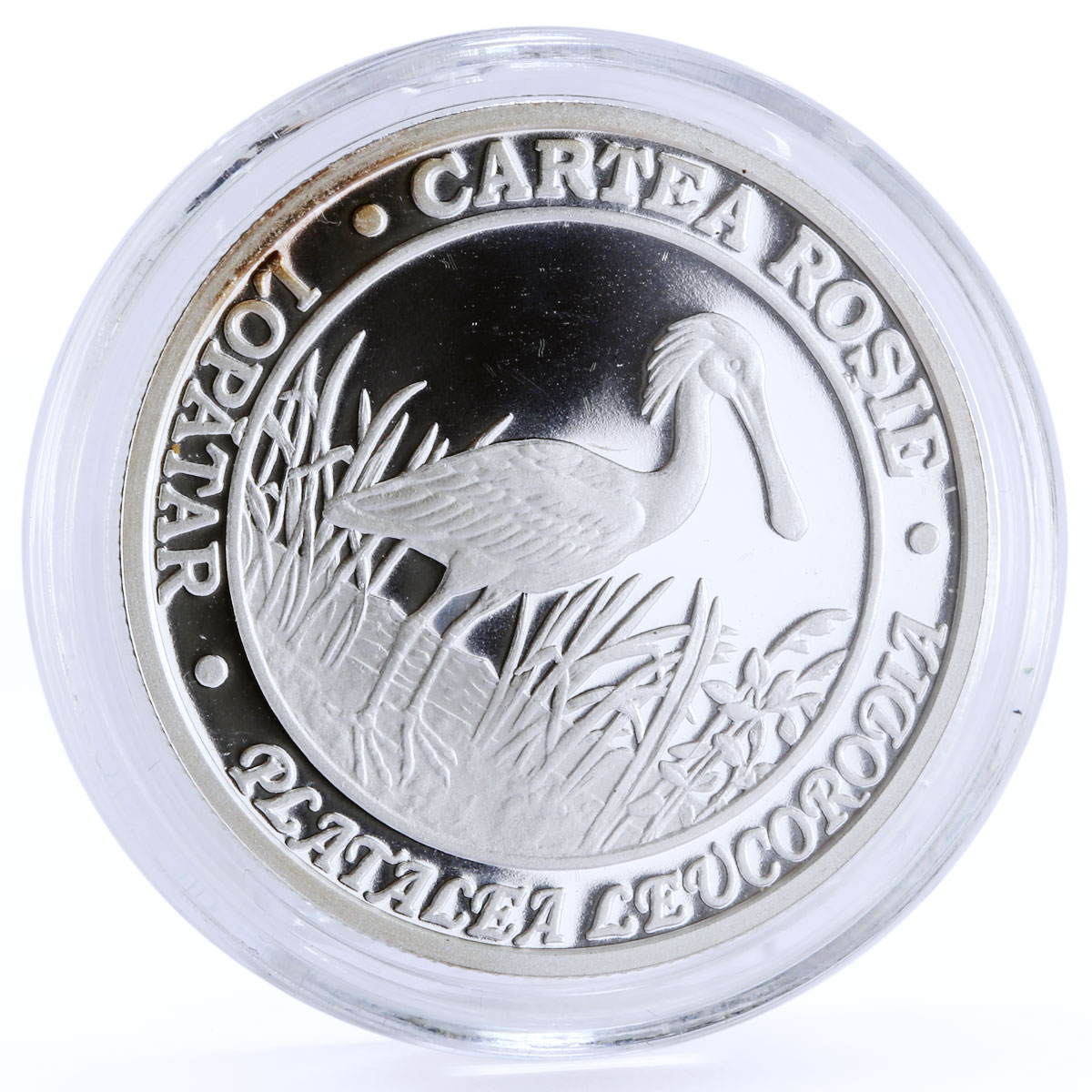 Moldova 50 lei Endangered Wildlife Eurasian Spoonbill Bird silver coin 2011