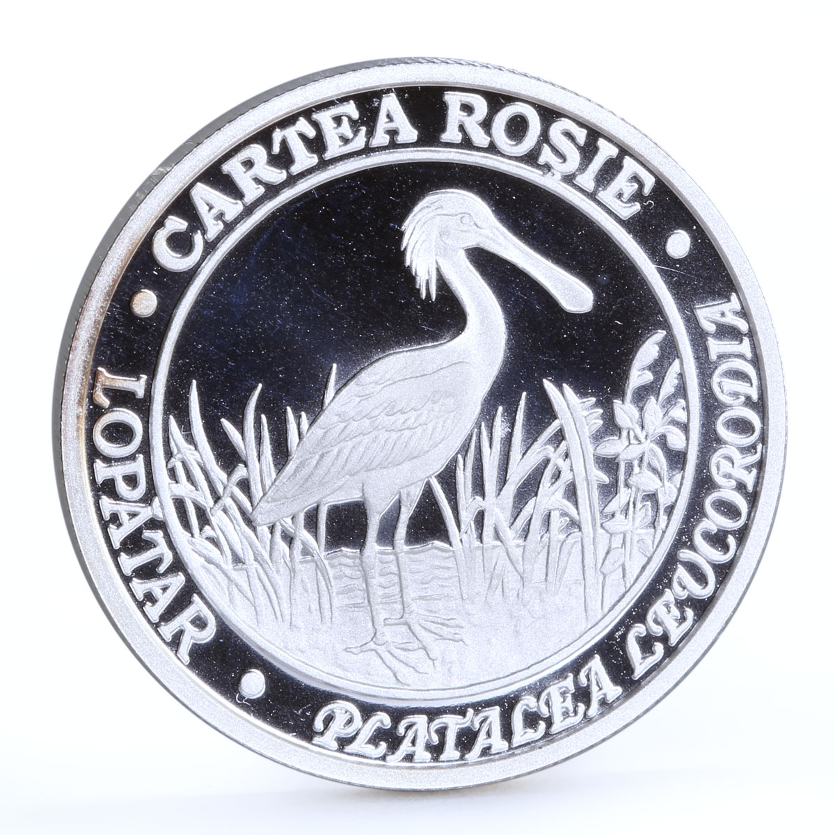Moldova 50 lei Endangered Wildlife Eurasian Spoonbill Bird silver coin 2011