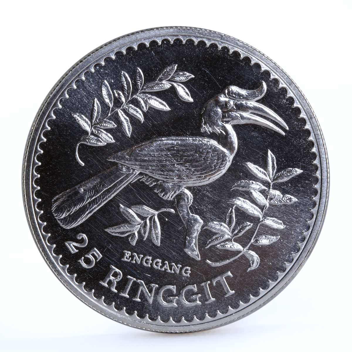 Malaysia 25 ringgit Conservation Hornbill Bird silver coin 1976