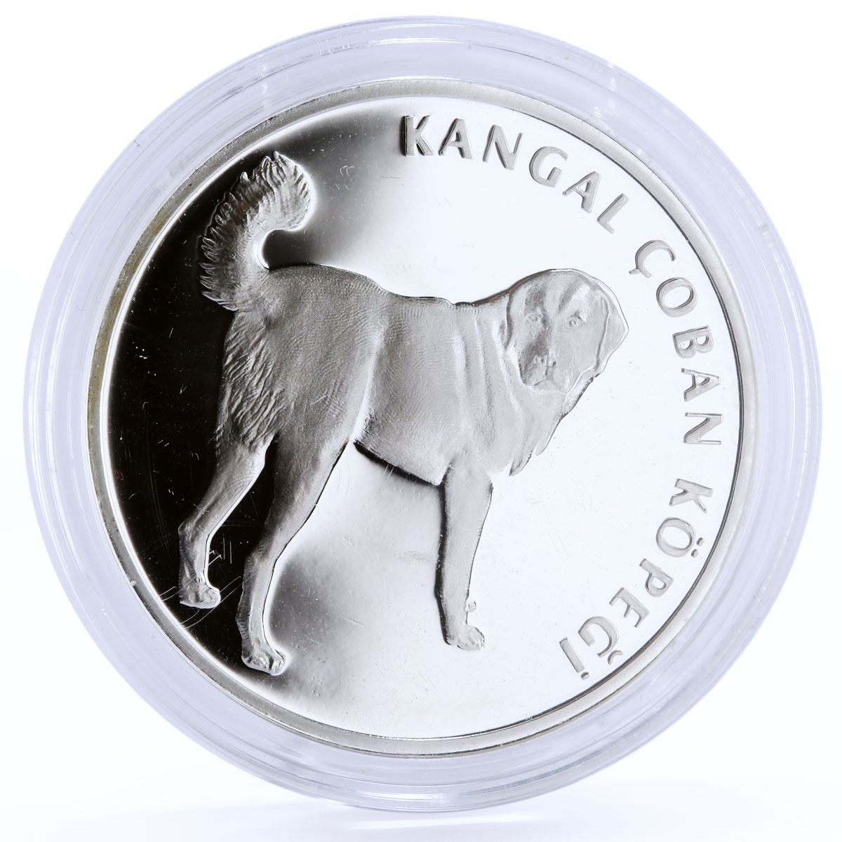Turkey 20 lira Animal series Kangal Dog proof silver coin 2005