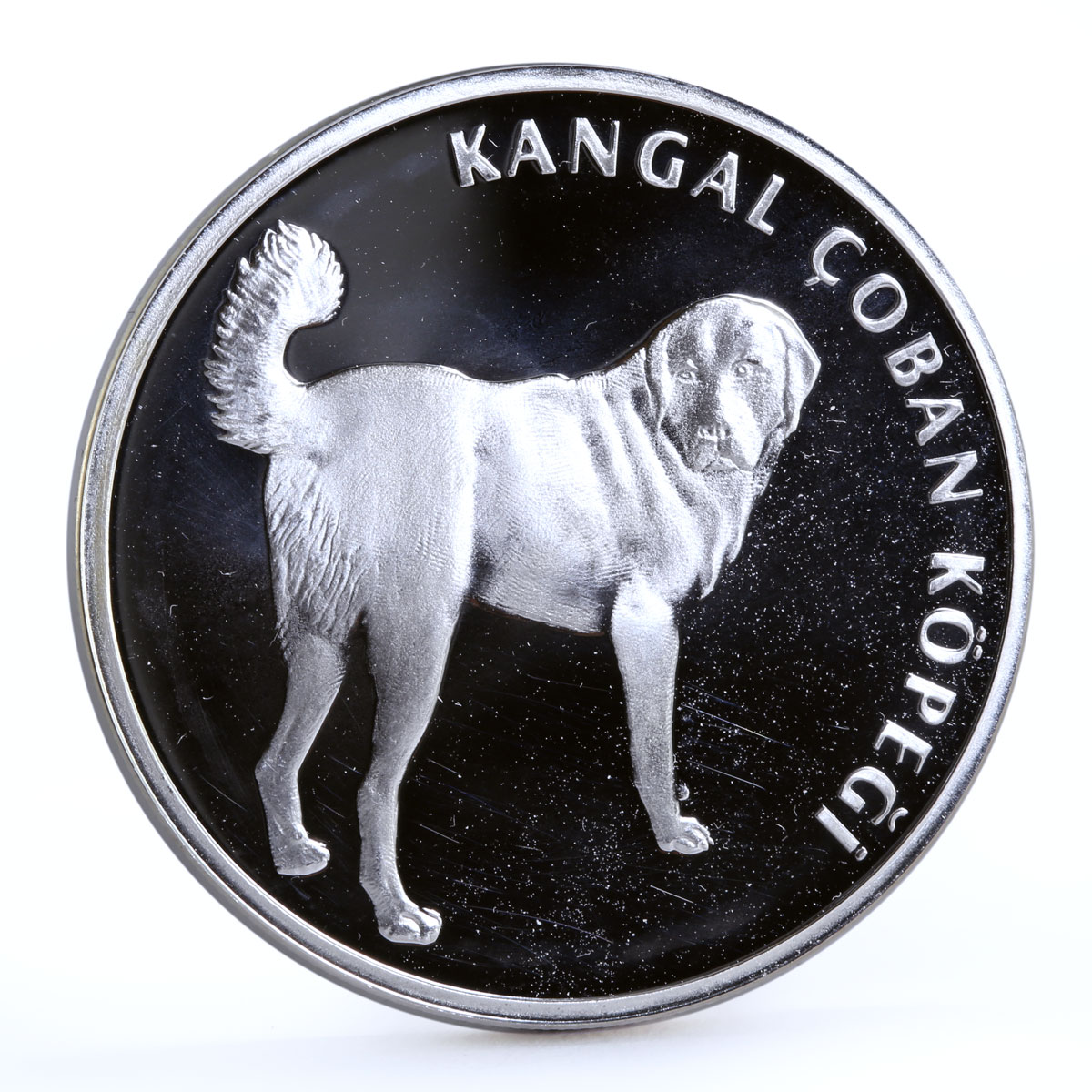 Turkey 20 lira Animal series Kangal Dog proof silver coin 2005