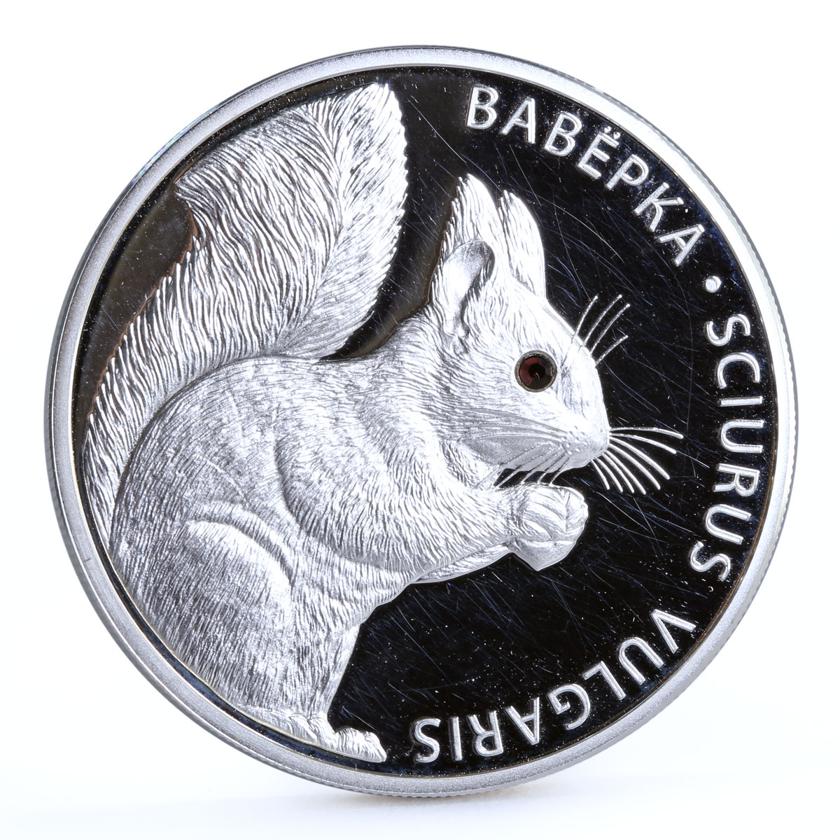 Belarus 20 rubles Endangered Wildlife Squirrel Fauna proof silver coin 2009