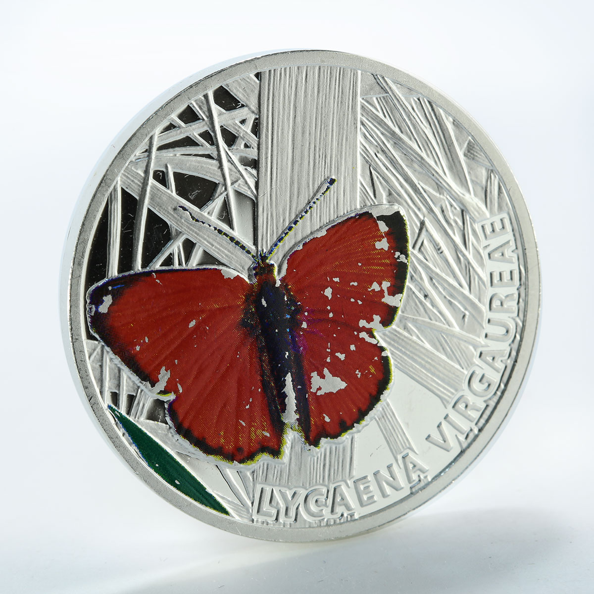 Niue1 dollar butterflie Scarce copper Lycaena Virgaureae silver color coin 2010