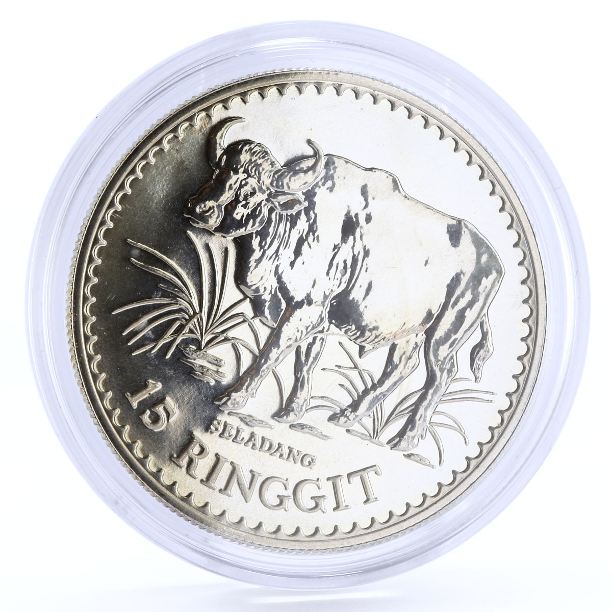 Malaysia 15 ringgit Conservation Fauna Malaysian Gaur Bull silver coin 1976