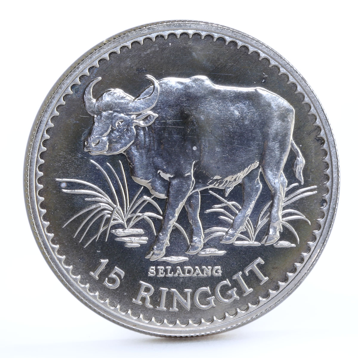 Malaysia 15 ringgit Conservation Fauna Malaysian Gaur Bull silver coin 1976