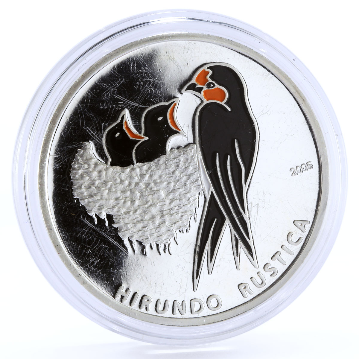 Congo 1000 francs Endangered Wildlife Barn Swallow Bird colored silver coin 2005