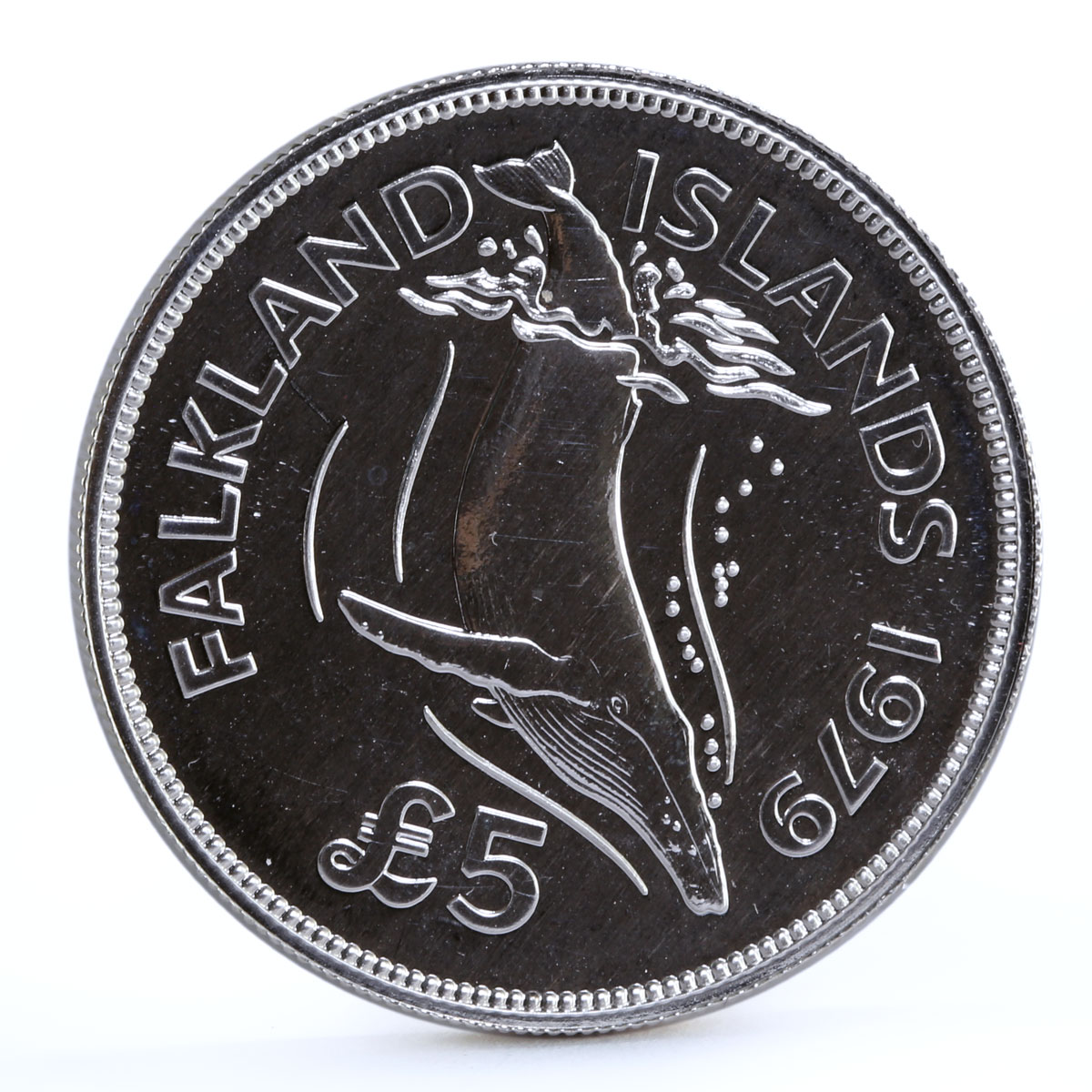 Falkland Islands 5 pounds Endangered Wildlife Humpback Whale silver coin 1979