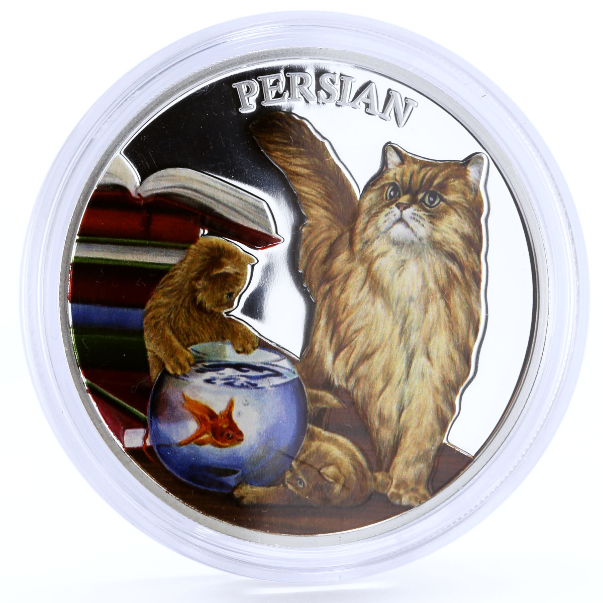 Rwanda 500 francs Cats series Persian Cat Books colored silver coin 2011