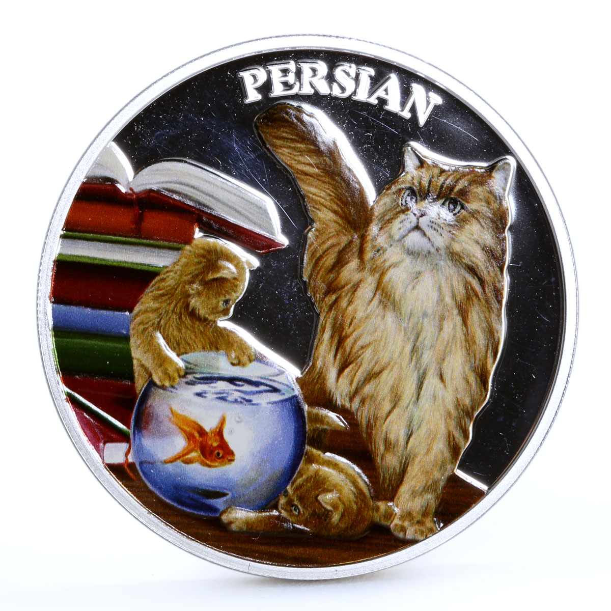 Rwanda 500 francs Cats series Persian Cat Books colored silver coin 2011