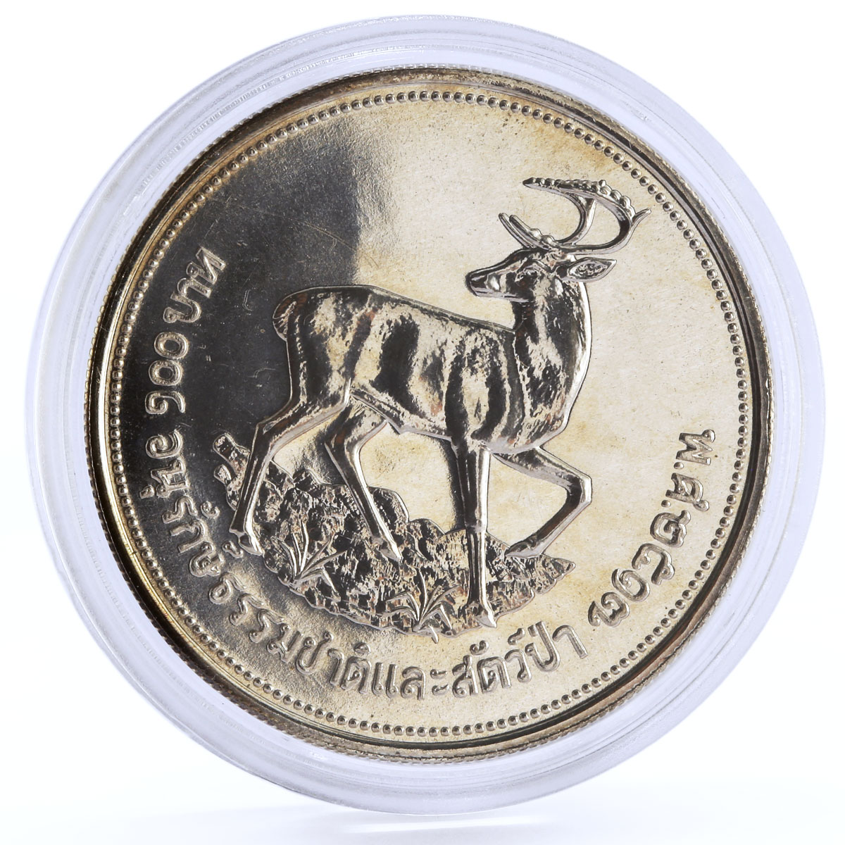 Thailand 100 baht World Wildlife Fund series Deer silver coin 1974