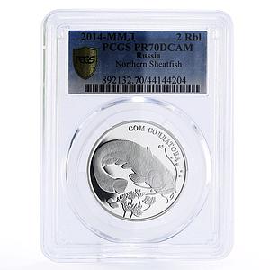 Russia 2 rubles Endangered Fauna Northern Sheatfish PR70 PCGS silver coin 2014