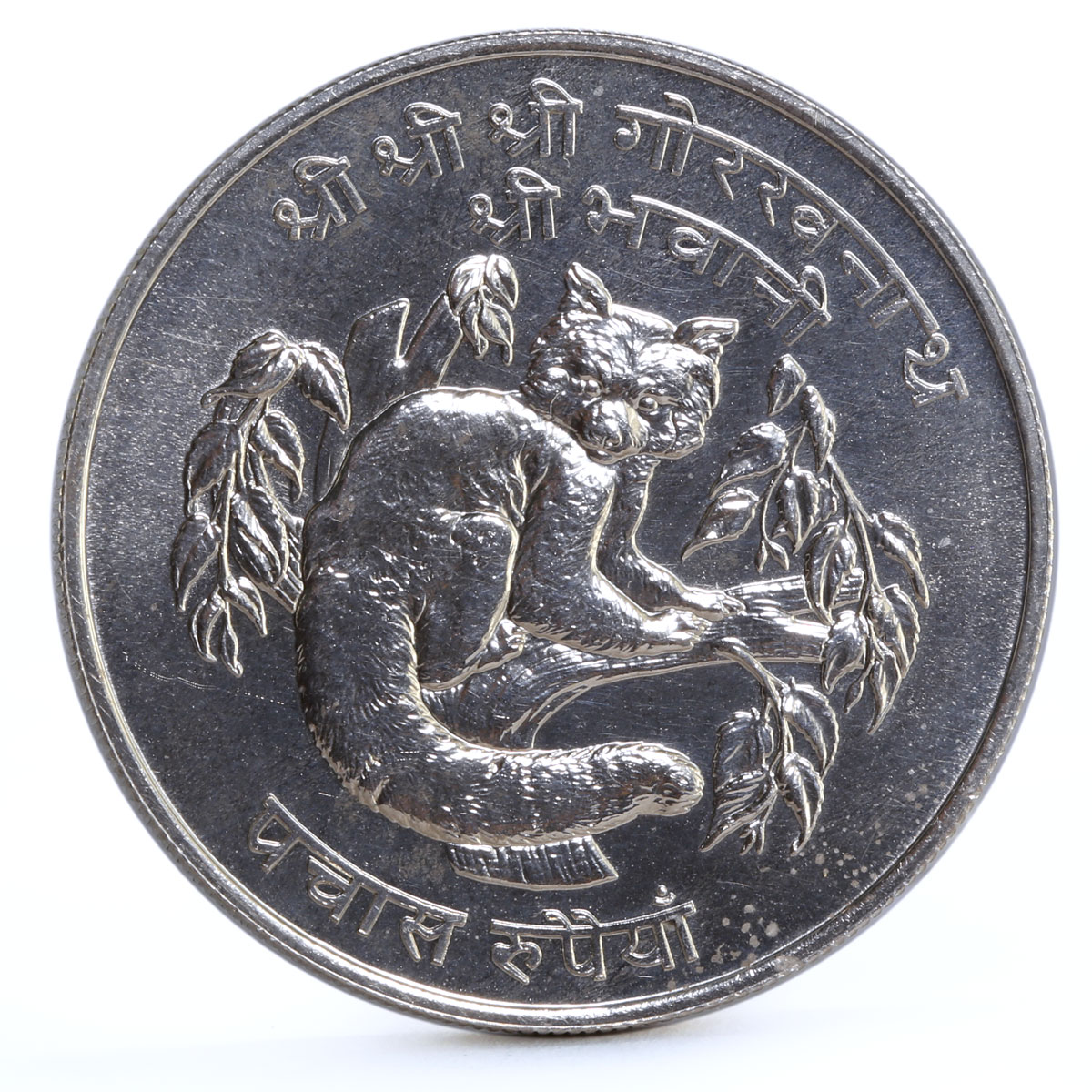 Nepal 50 rupees Endangered Wildlife Red Panda Fauna silver coin 1974