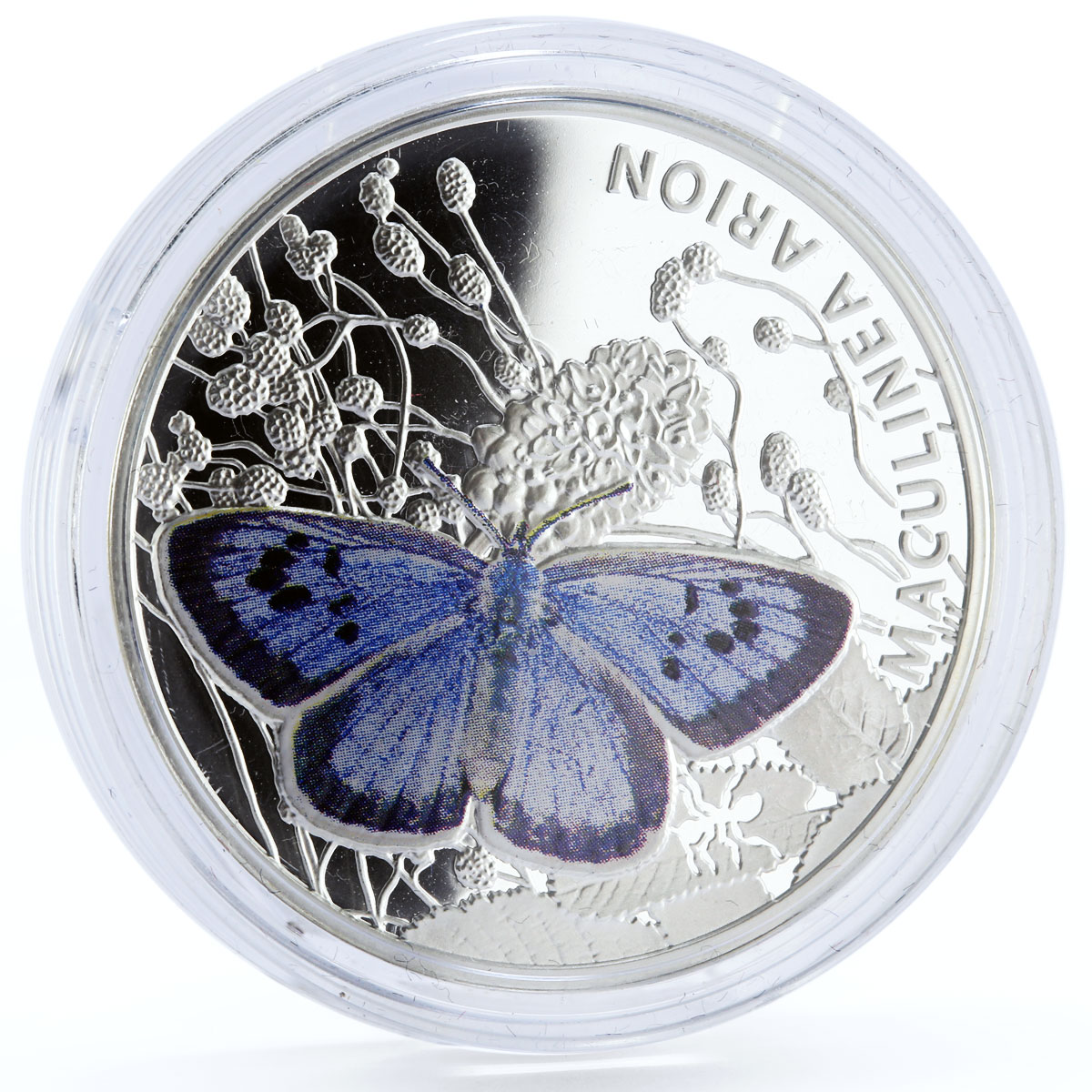 Niue 1 dollar Maculinea Arion Blue Butterfly Fauna colored silver coin 2011
